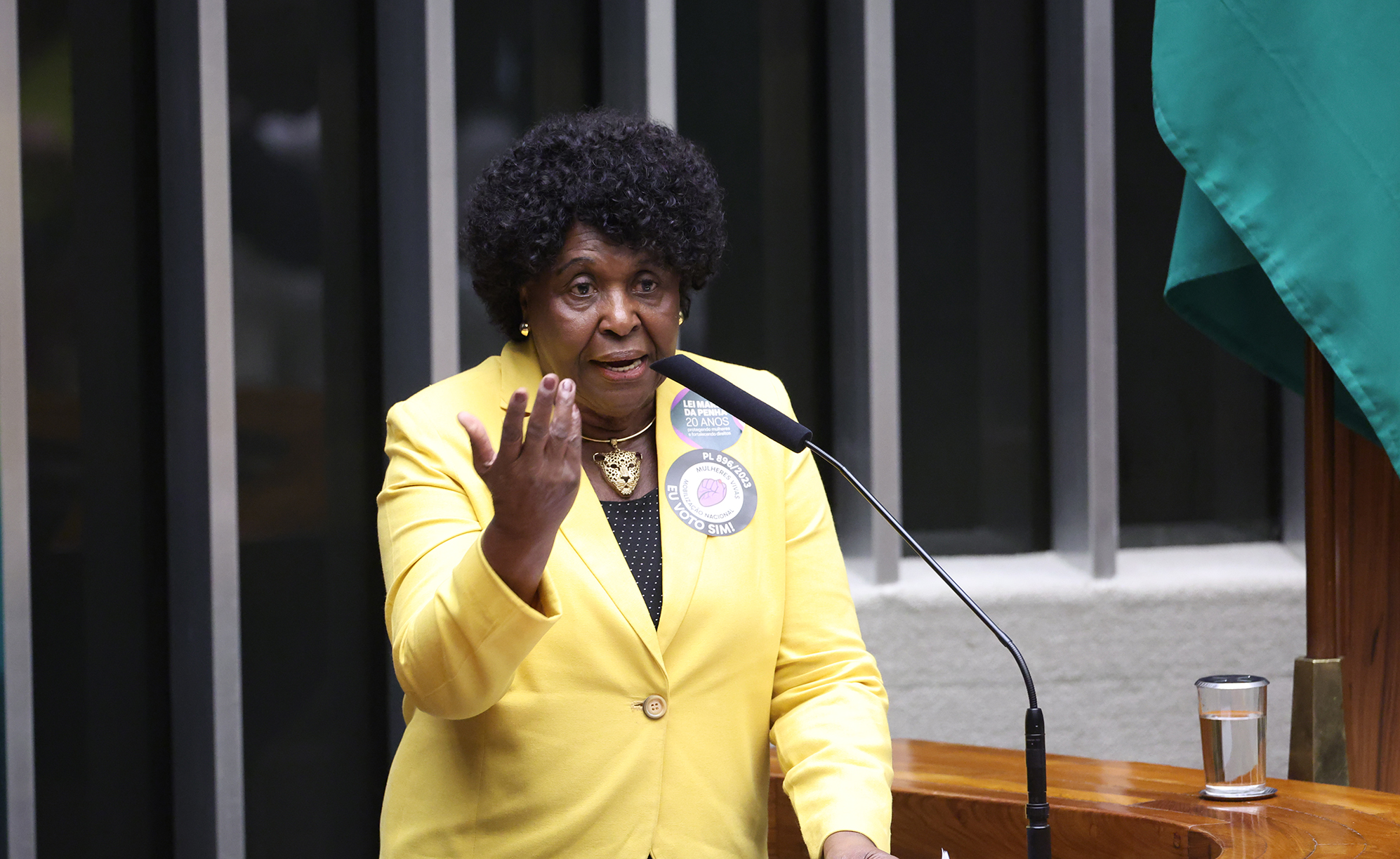 Datafolha: Benedita lidera para o Senado no RJ com 19%