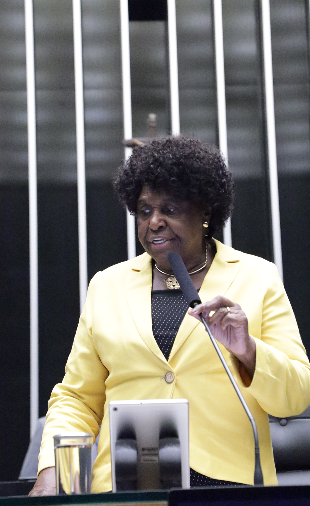 Datafolha no RJ: Benedita lidera para o Senado com 19%