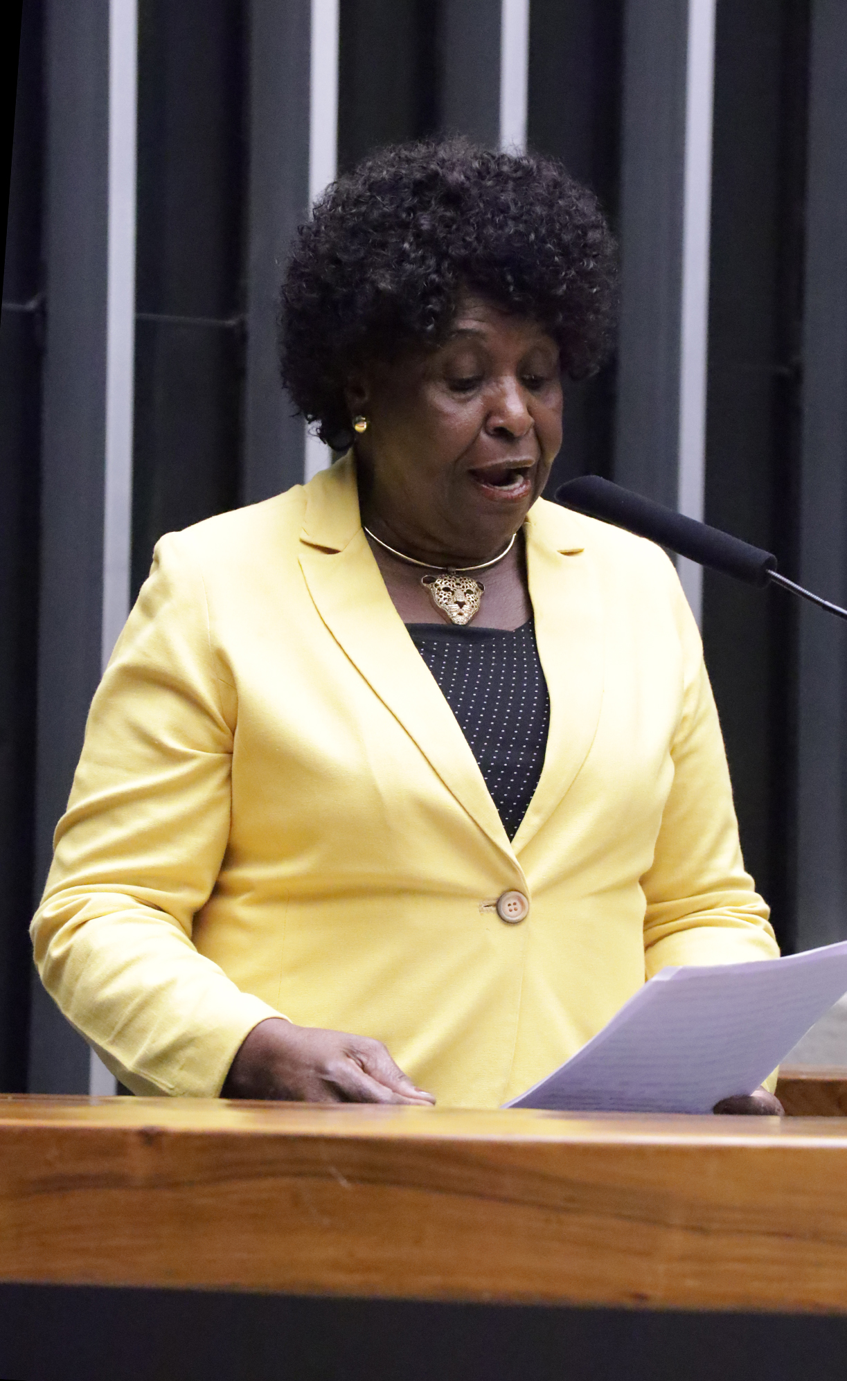 Mulher negra com blazer amarelo discursando ao microfone enquanto lê um documento. Na foto: Benedita da Silva.
