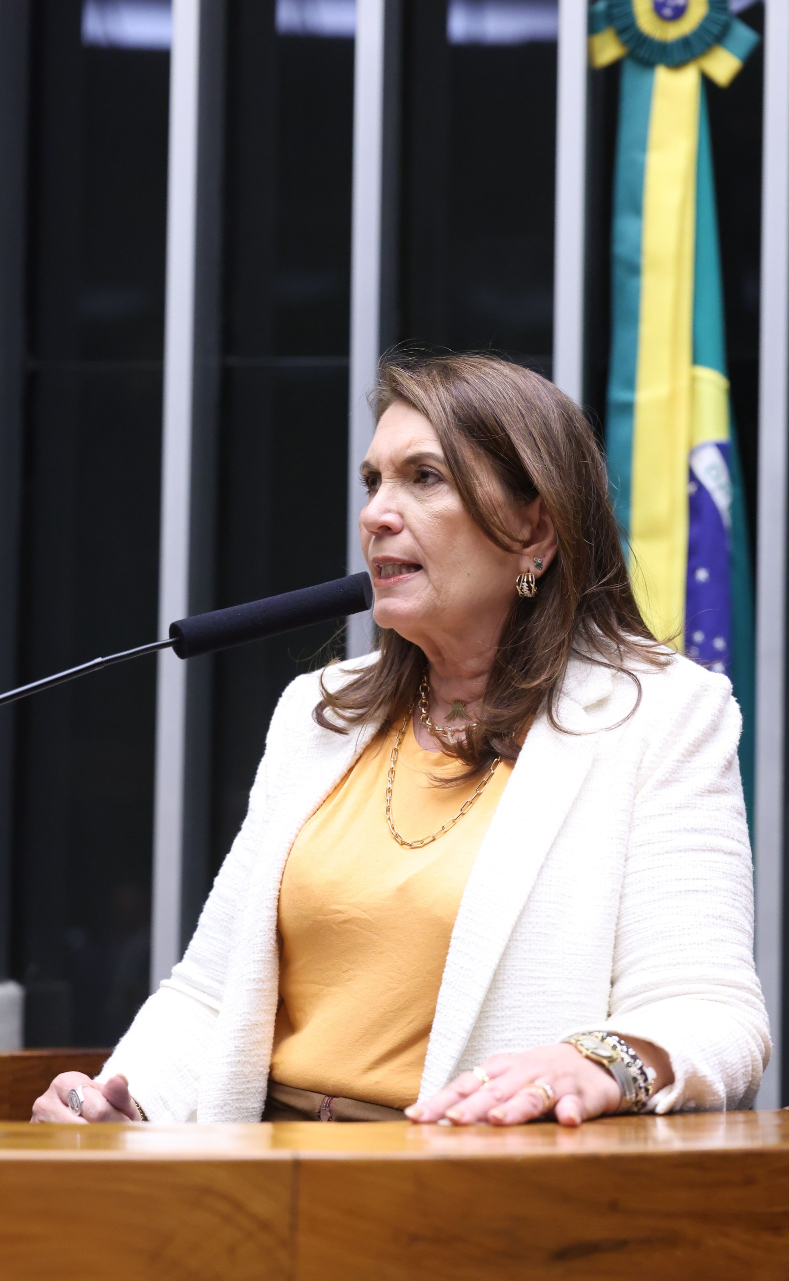 Uma mulher de casaco branco e blusa amarela fala ao microfone em um púlpito de madeira, com a bandeira do Brasil ao fundo. Na foto: Bia Kicis.