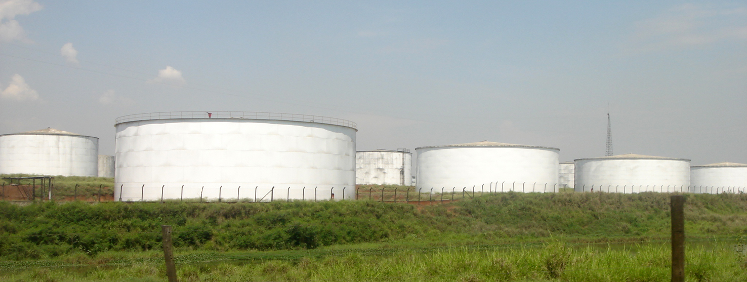 Série de grandes tanques de armazenamento brancos em uma instalação industrial cercada por vegetação rasteira sob um céu claro.