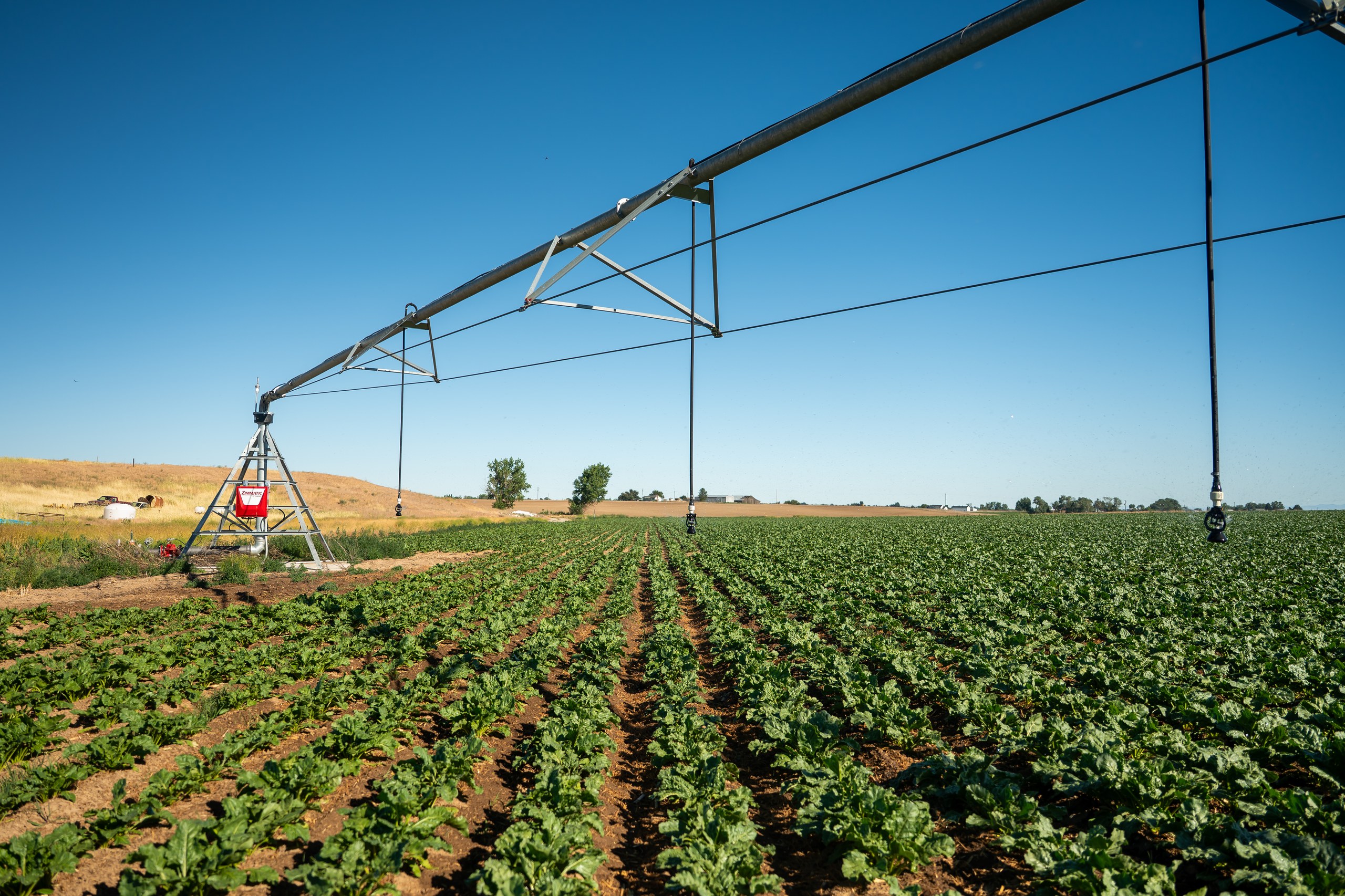 Projeto obriga conversão de rede elétrica rural para trifásica